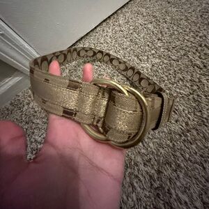 Brown Coach Belt S